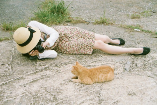 Illustration for article titled Cats Rule These Japanese Islands